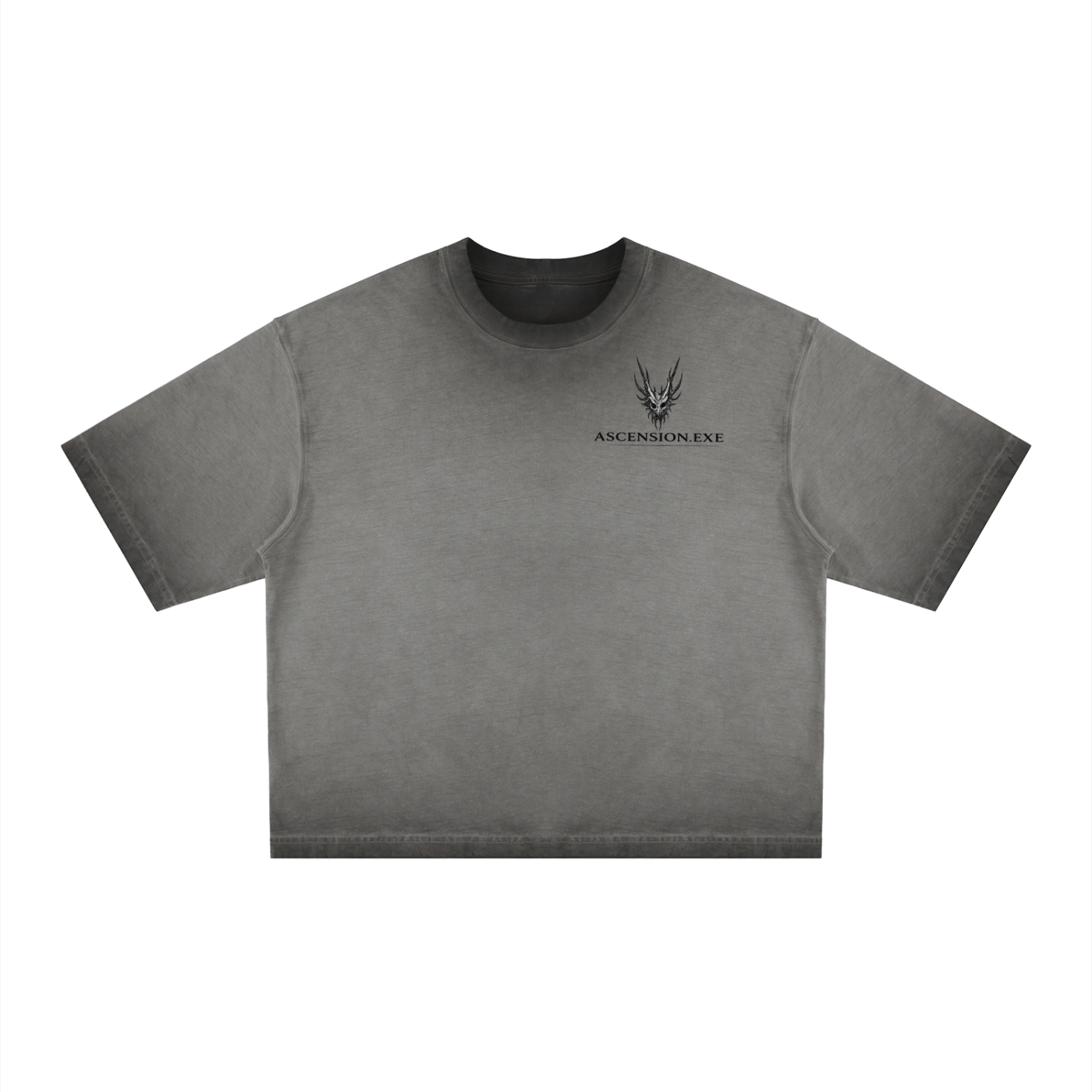 Cybersiggilsm,WHYUS,VOID,Premium,Boxy,Tshirt